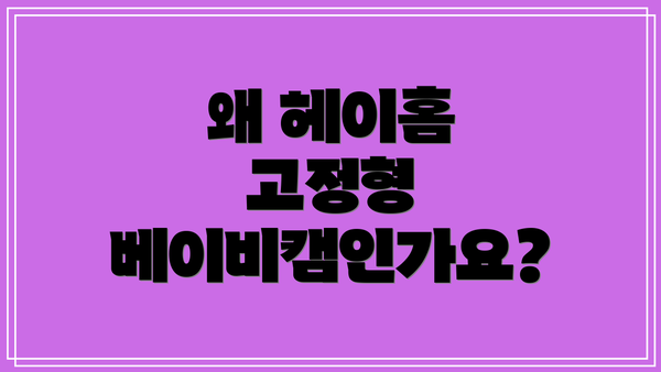 왜 헤이홈 고정형 베이비캠인가요?