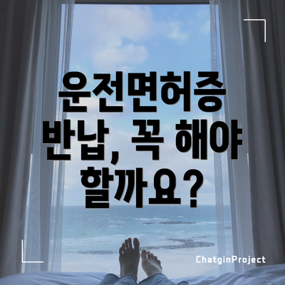 운전면허증 반납, 꼭 해야 할까요?