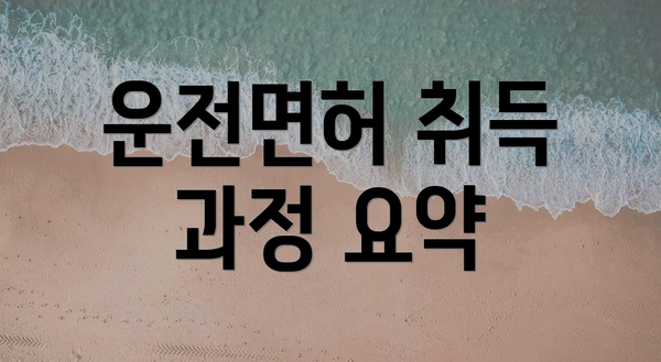 운전면허 취득 과정 요약