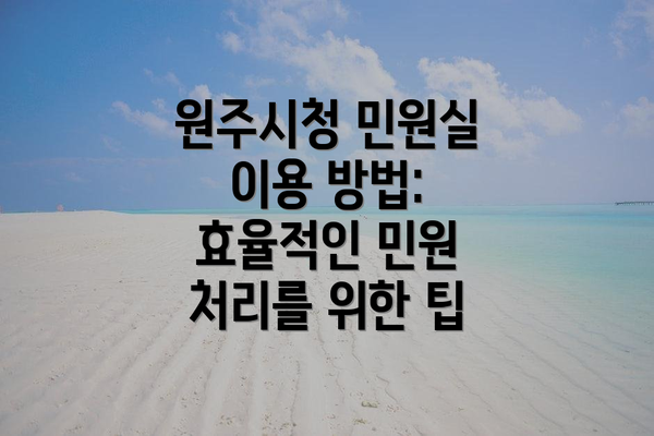 원주시청 민원실 이용 방법: 효율적인 민원 처리를 위한 팁