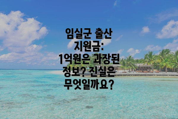 임실군 출산 지원금: 1억원은 과장된 정보? 진실은 무엇일까요?