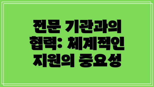 전문 기관과의 협력: 체계적인 지원의 중요성