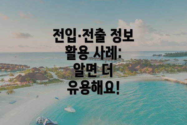 전입·전출 정보 활용 사례: 알면 더 유용해요!