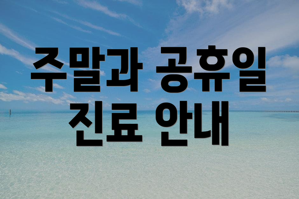 주말과 공휴일 진료 안내