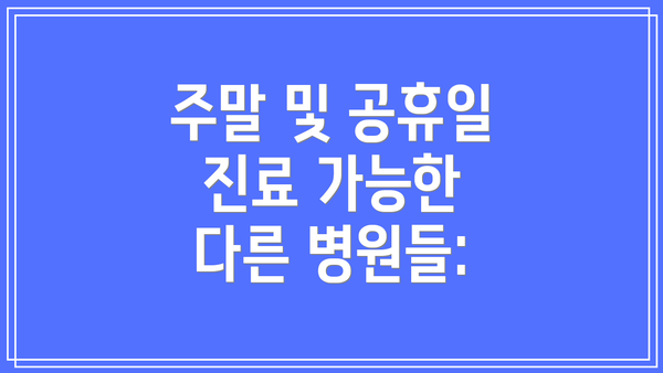주말 및 공휴일 진료 가능한 다른 병원들: