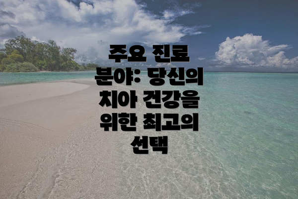 주요 진료 분야: 당신의 치아 건강을 위한 최고의 선택