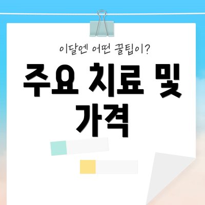주요 치료 및 가격