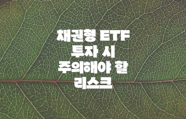 채권형 ETF 투자 시 주의해야 할 리스크