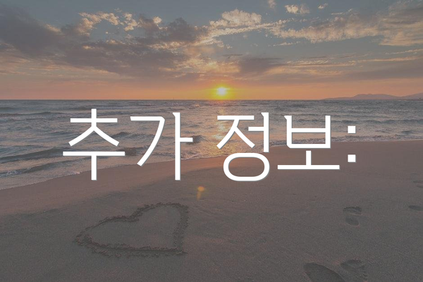 추가 정보: