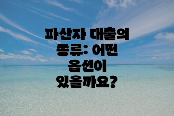 파산자 대출의 종류: 어떤 옵션이 있을까요?