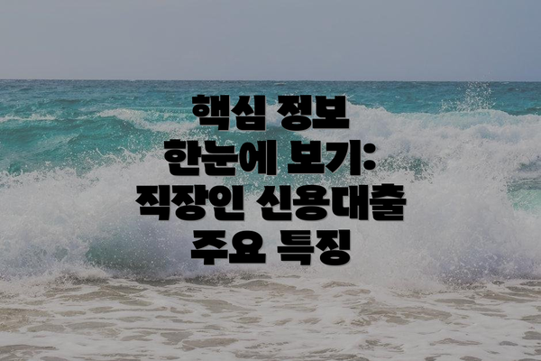 핵심 정보 한눈에 보기:  직장인 신용대출 주요 특징