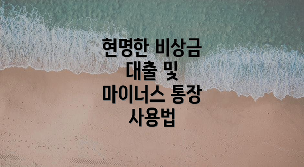 현명한 비상금 대출 및 마이너스 통장 사용법