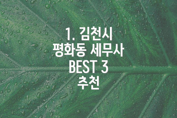 1. 김천시 평화동 세무사 BEST 3 추천