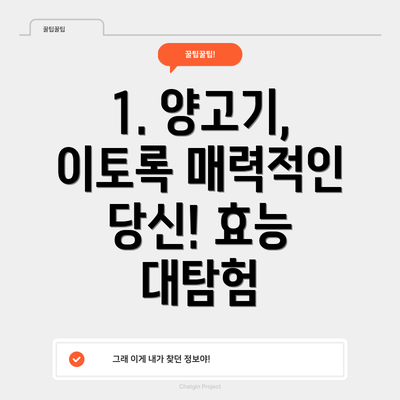 1. 양고기, 이토록 매력적인 당신! 효능 대탐험