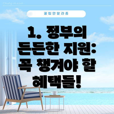 1. 정부의 든든한 지원: 꼭 챙겨야 할 혜택들!