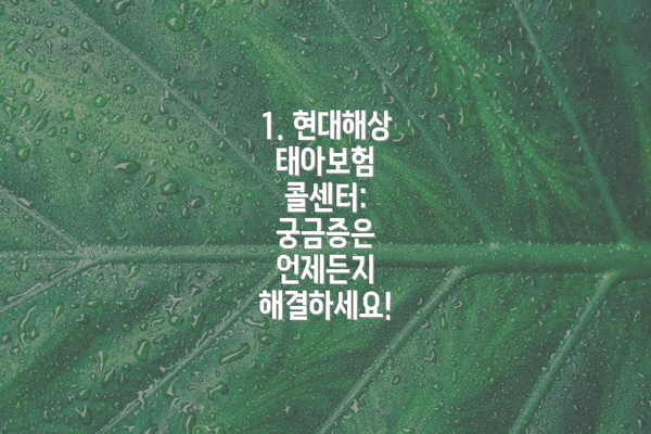 1. 현대해상 태아보험 콜센터:  궁금증은 언제든지 해결하세요!