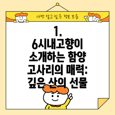 1. 6시내고향이 소개하는 함양 고사리의 매력: 깊은 산의 선물