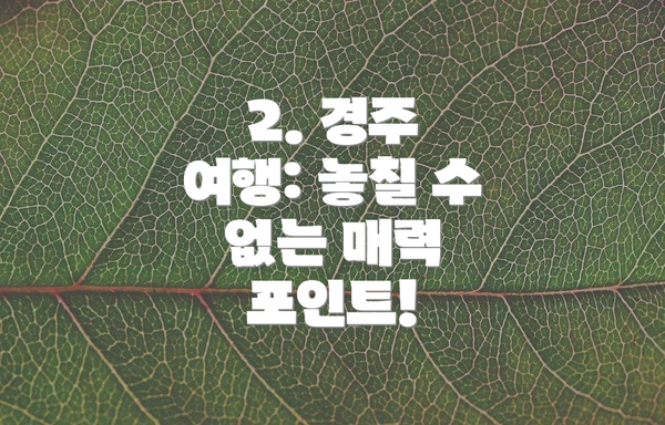 2. 경주 여행: 놓칠 수 없는 매력 포인트!