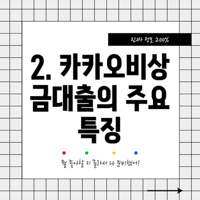 2. 카카오비상금대출의 주요 특징