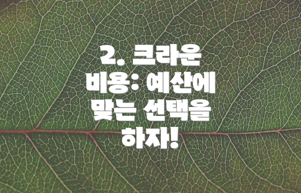2. 크라운 비용: 예산에 맞는 선택을 하자!