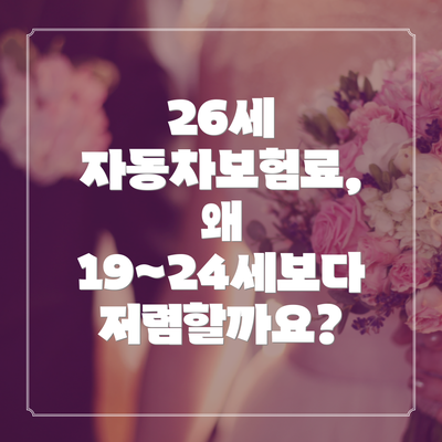 26세 자동차보험료, 왜 19~24세보다 저렴할까요?