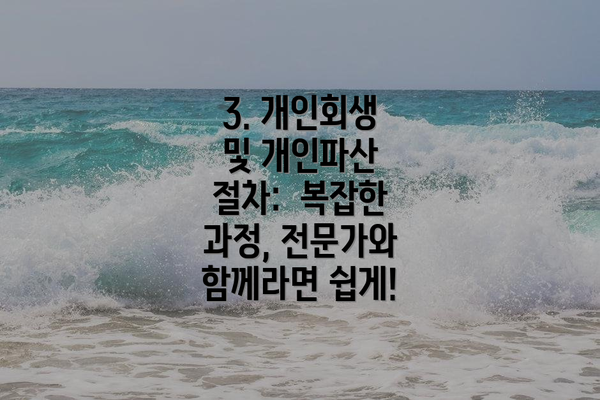 3. 개인회생 및 개인파산 절차:  복잡한 과정, 전문가와 함께라면 쉽게!