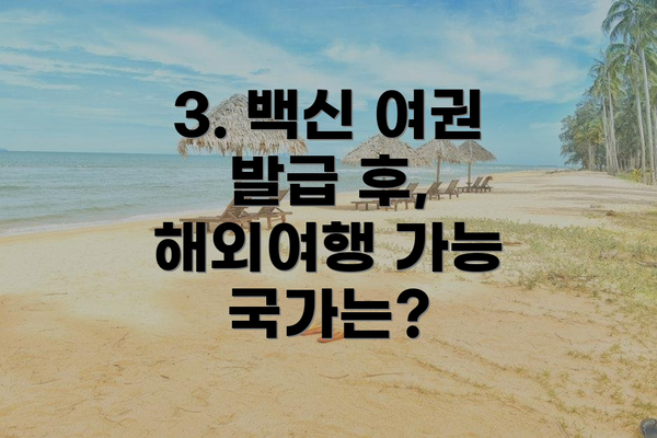 3. 백신 여권 발급 후, 해외여행 가능 국가는?