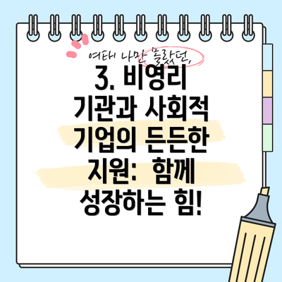 3. 비영리 기관과 사회적 기업의 든든한 지원:  함께 성장하는 힘!