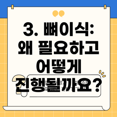 3. 뼈이식: 왜 필요하고 어떻게 진행될까요?