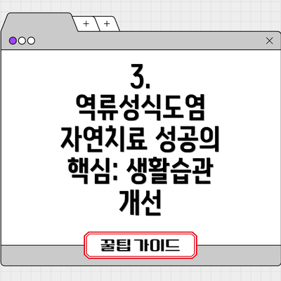 3.  역류성식도염 자연치료 성공의 핵심: 생활습관 개선