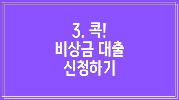 3. 콕! 비상금 대출 신청하기