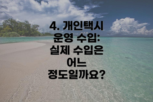 4. 개인택시 운영 수입: 실제 수입은 어느 정도일까요?