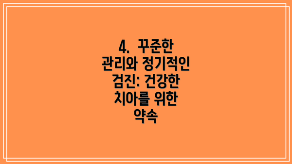 4.  꾸준한 관리와 정기적인 검진: 건강한 치아를 위한 약속