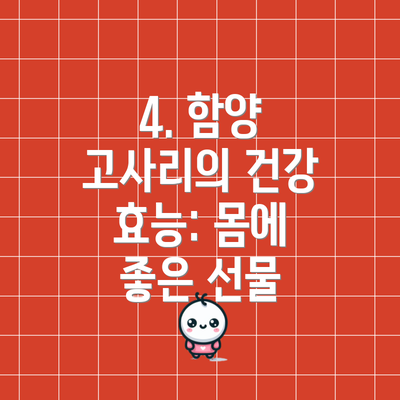 4. 함양 고사리의 건강 효능: 몸에 좋은 선물