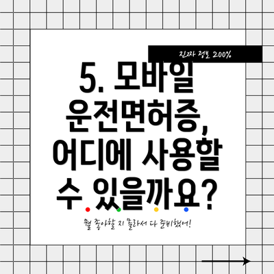 5. 모바일 운전면허증, 어디에 사용할 수 있을까요?