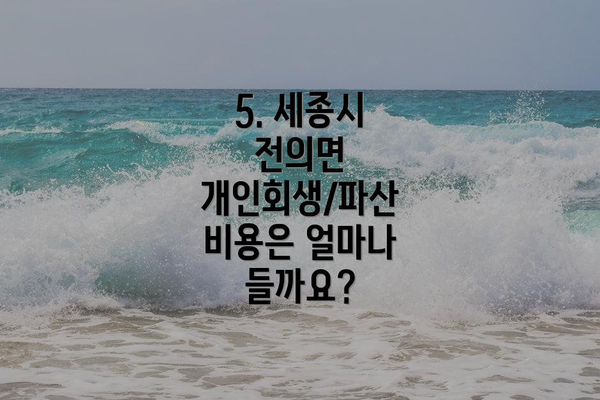 5. 세종시 전의면 개인회생/파산 비용은 얼마나 들까요?