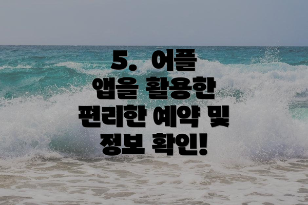 5.  어플 앱을 활용한 편리한 예약 및 정보 확인!