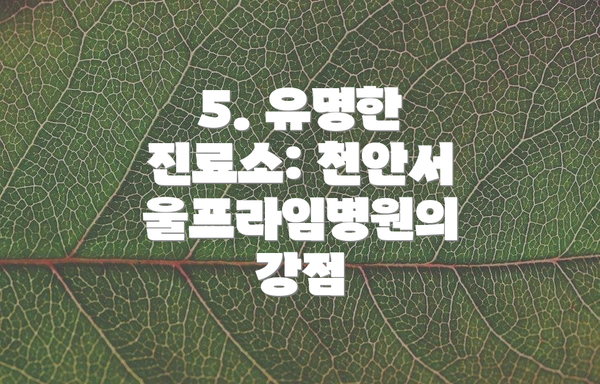 5. 유명한 진료소: 천안서울프라임병원의 강점