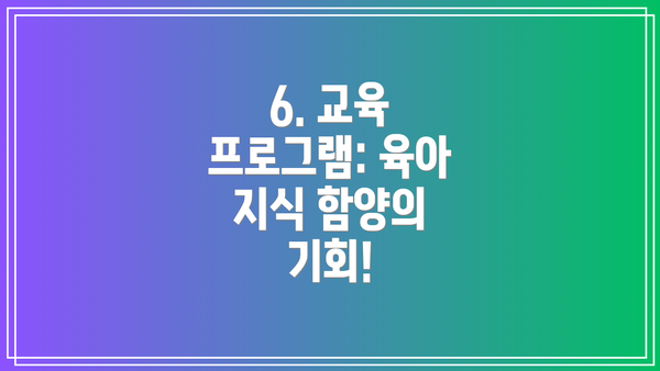 6. 교육 프로그램: 육아 지식 함양의 기회!