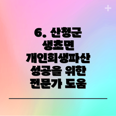6. 산청군 생초면 개인회생파산 성공을 위한 전문가 도움