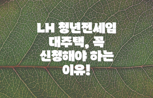 LH 청년전세임대주택, 꼭 신청해야 하는 이유!