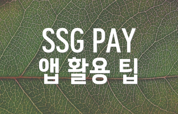 SSG PAY 앱 활용 팁