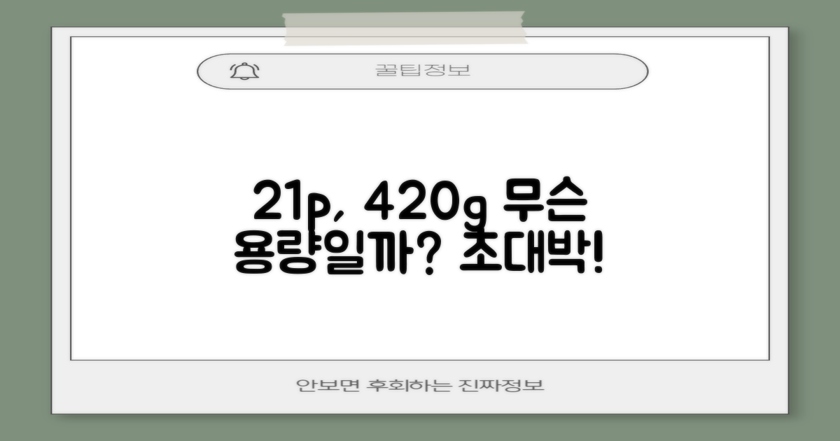 21p, 420g, 어떤 용량?