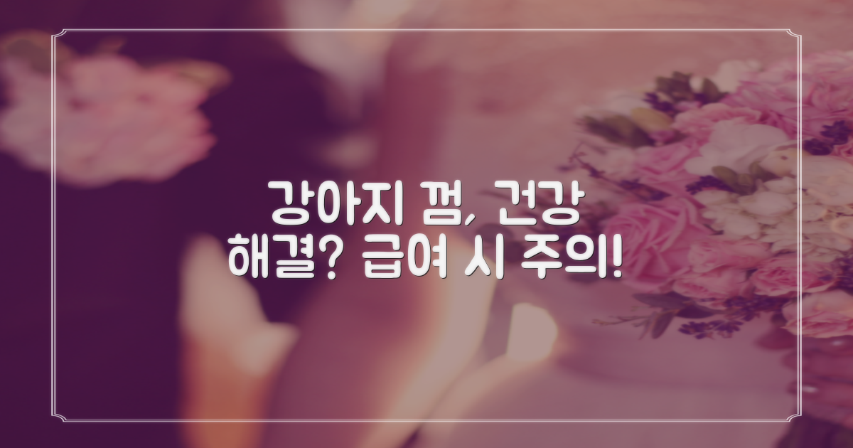 강아지 건강, 껌으로 해결?