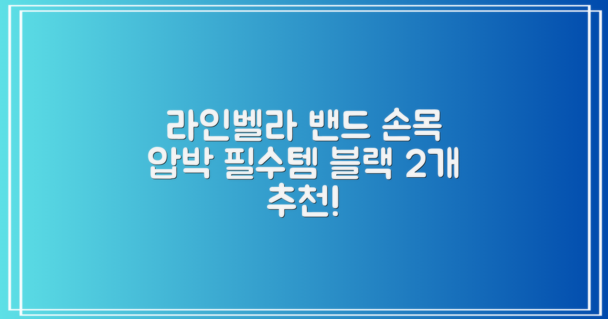 라인벨라 의료용 손목 압박용 밴드 블랙, 2개 추천 리뷰